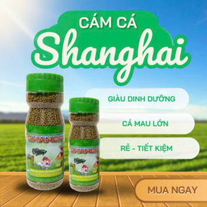 Cám Shanghai lọ 170g