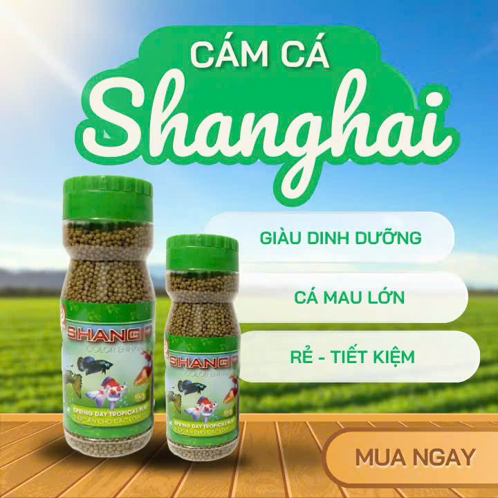 Cám Shanghai lọ 100g 1 Cám Shanghai lọ 100g