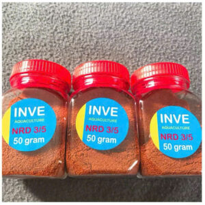 cam inve 35 2