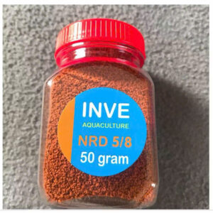 Cám Inve 5/8