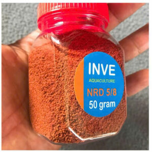 cam inve 58 thai