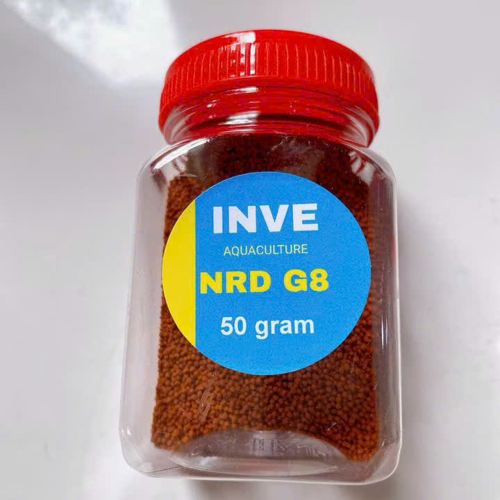 Cám Inve G8 1 Cám Inve G8
